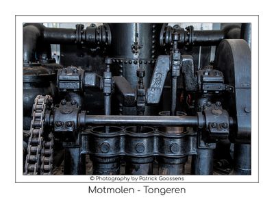 Portret van de Motmolen in Tongeren