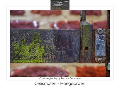 Portret van de Celismolen in Hoegaarden