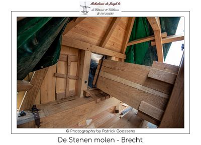 Focus op de restauratie van de stenen molen in Brecht