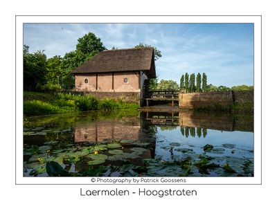 Portret van de Laermolen in Hoogstraten