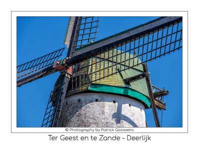 Focus op stellingmolen Ter Geest en te Zande in Deerlijk