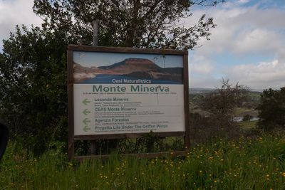 Monte Minerva