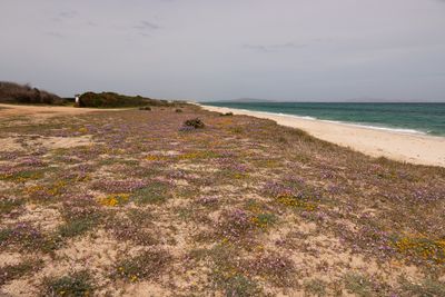 Spiaggia di Stagno di Pilo