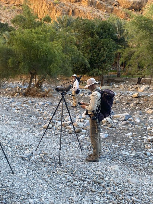 Wadi al Muaydin, Oman