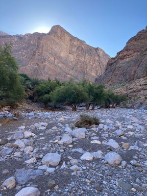 Wadi Muaydin, Oman