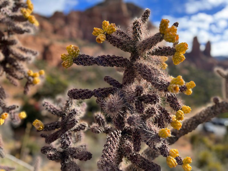 Sedona 4, AZ