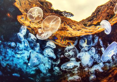 Underwater Dance
