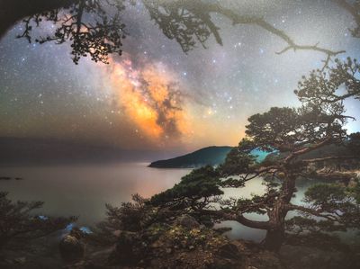 Starry Night