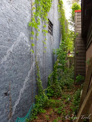 Alley with passerby