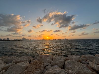 IMG_0715-1.jpg