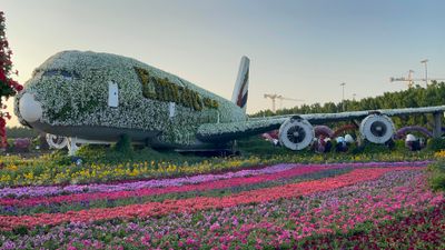 IMG_1005-1.jpeg