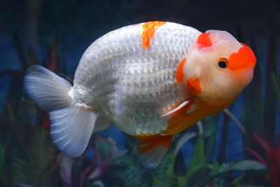 20250804c.jpg