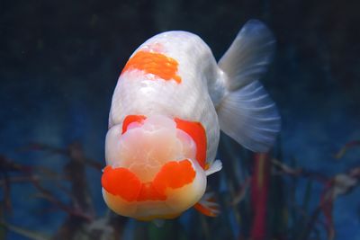 20250804a.jpg