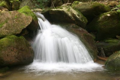 wild_waters_and_native_greenery
