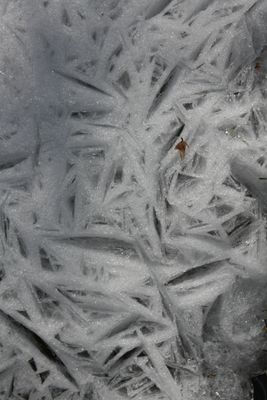 Frozen Ground with Unusual Ice Patterns