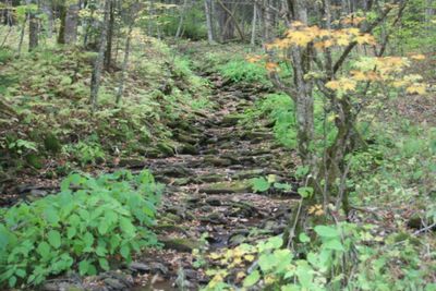 Late Summer Stream Bed on Day Run
