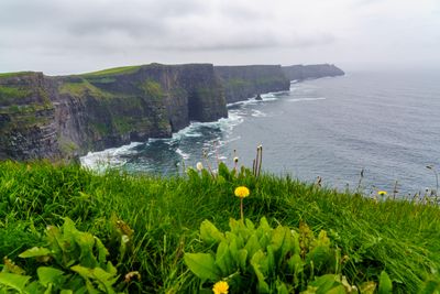 Cliffs Of Moher, County Clare