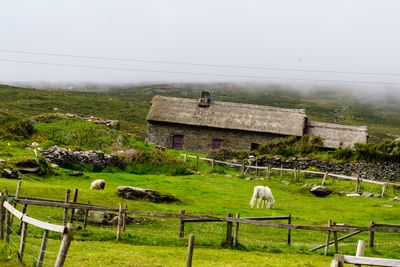 The Famine Cottages