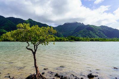 A7R02480.jpg