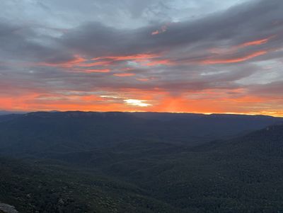 *IMG_0361.jpg