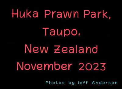 Taupo - Hula Prawn Park, New Zealand (November 2023)