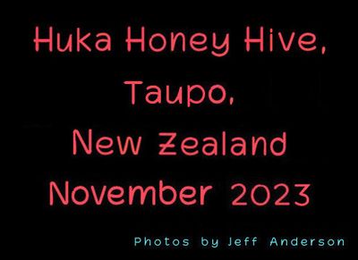 Taupo - Huka Honey Hive, New Zealand (November 2023)