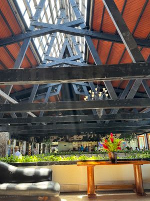 *IMG_1295.jpg
