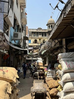 IMG_2119_150327.jpeg