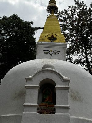 IMG_2993.jpg
