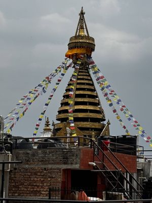 IMG_3017.jpg