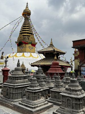 IMG_3026.jpg