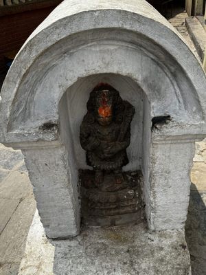 IMG_3043.jpg