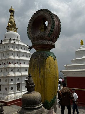 IMG_3044.jpg