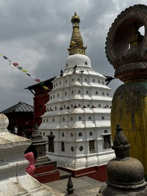 IMG_3045.jpg