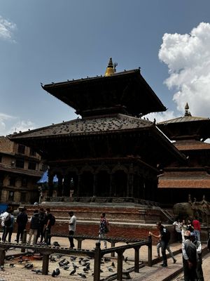 IMG_3103.jpg
