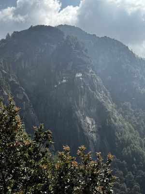 IMG_3655.jpg