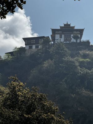 IMG_3659.jpg