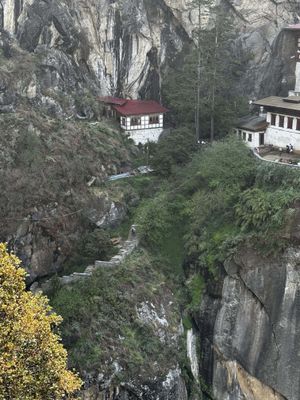 IMG_3673.jpg