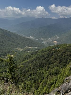IMG_3680.jpg