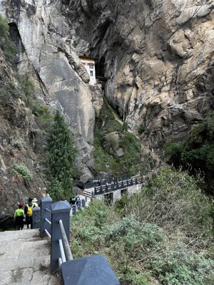 IMG_3681.jpg