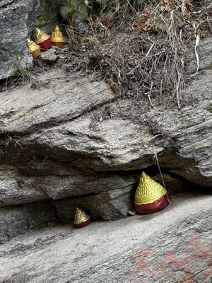 IMG_3693.jpg