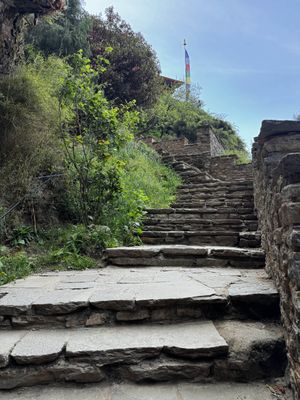 IMG_3698.jpg