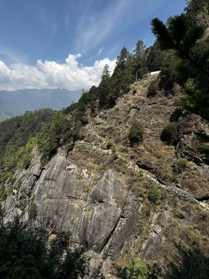 IMG_3701.jpg