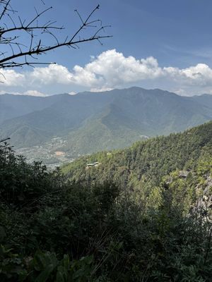 IMG_3702.jpg