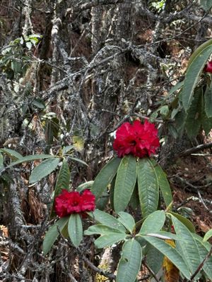 IMG_3719.jpg