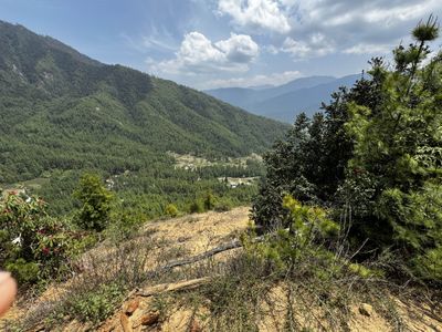 IMG_3724.jpg