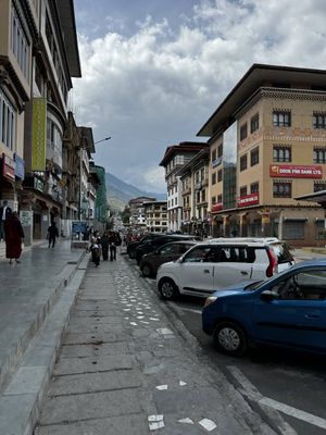 IMG_3137.jpg