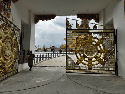 IMG_3177.jpg