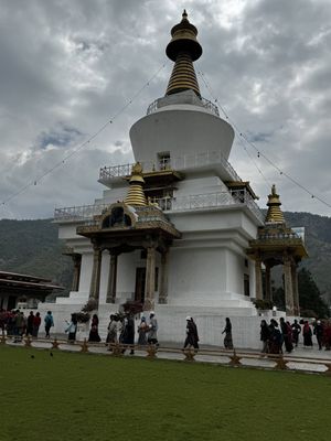 IMG_3224.jpg