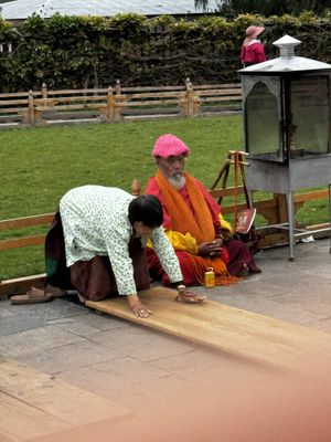 IMG_3244.jpg
